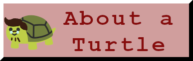 about a turtle